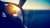 Pilot flying over the sea at sunset
