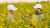 bp welcomes strategic agreement with Nuseed Carinata 