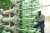 biogas