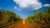 An employee walks through the sugar cane plantation for producing biofuels in Brazil.