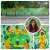 Kashmira