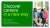 Discover careers in a new way - two bp employees sat down smiling