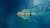 Fuel transportation tanker at sea – aerial view