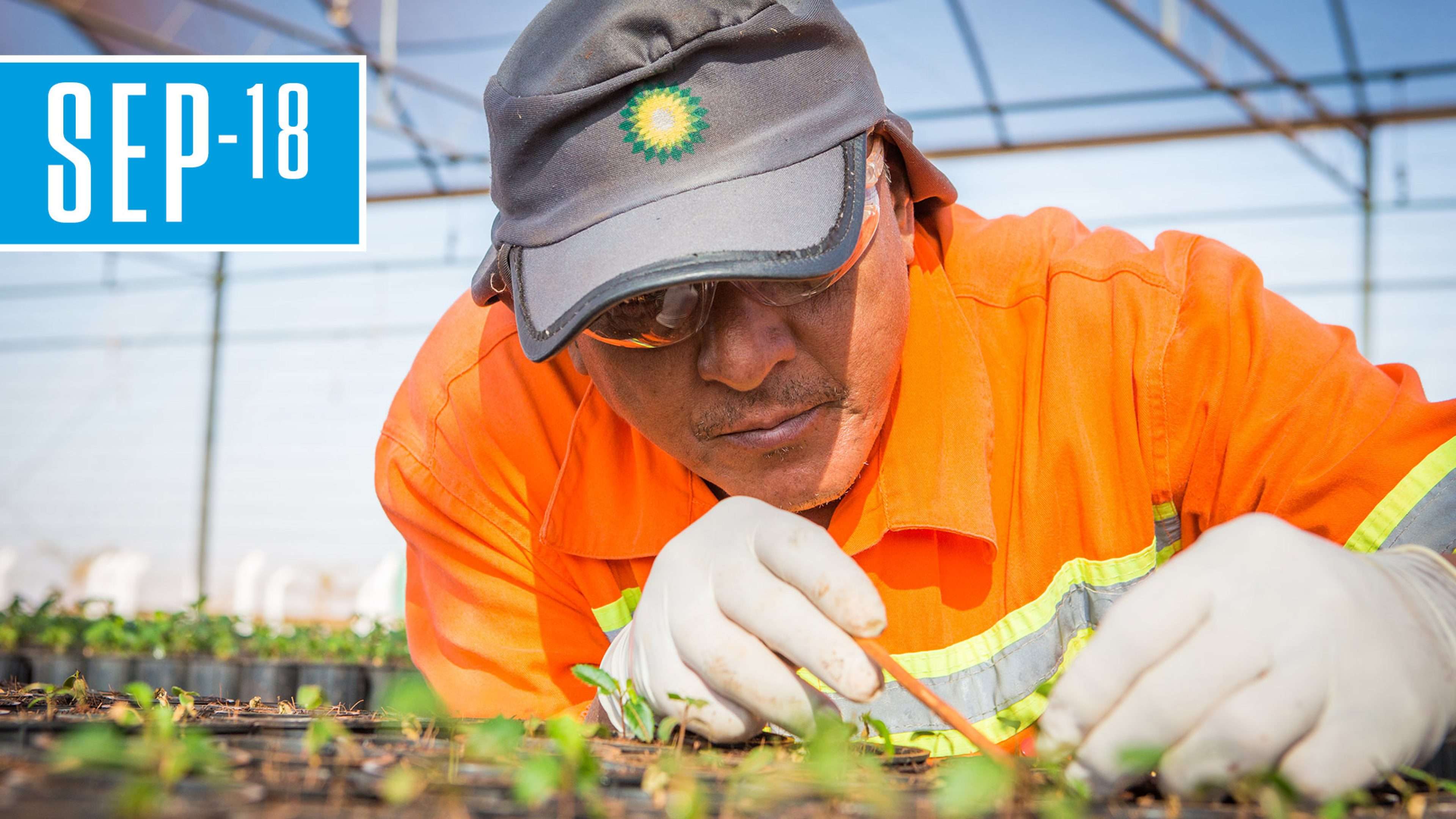 From field to fuel: a day in the life of biofuels ...