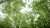 bp acquires majority stake in largest US forest carbon offset developer Finite Carbon