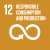 UN sustainable development goal – 12