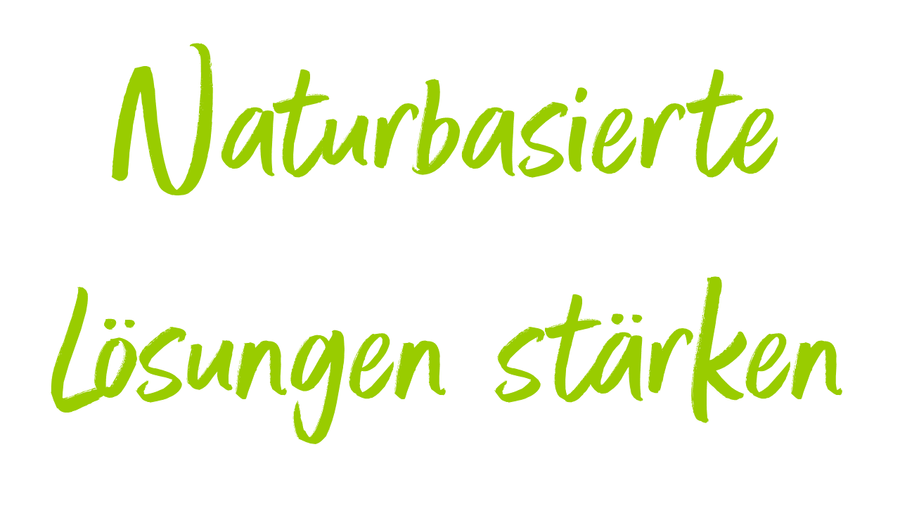 Klimaneutrale Energieprodukte
