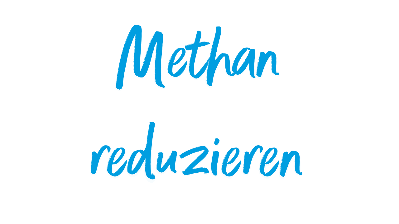 Klimaneutrale Energieprodukte