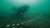 Taucher im Meer