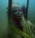 Statue wird aus dem Meer geborgen