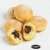 Hazelnut Doughnut Bites | 107kcal