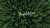 #bpNetZero image of a road through a forest