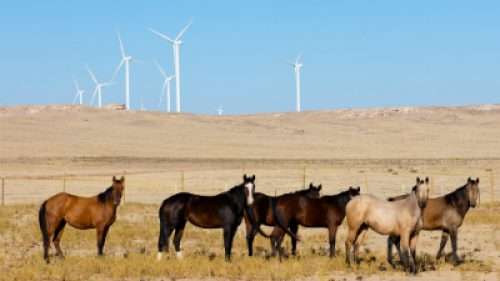 Wind Energy sites, Alternative Energy Today